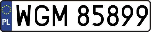WGM85899