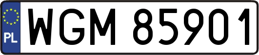 WGM85901