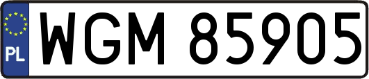 WGM85905