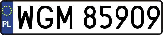 WGM85909