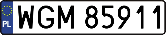WGM85911