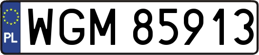 WGM85913