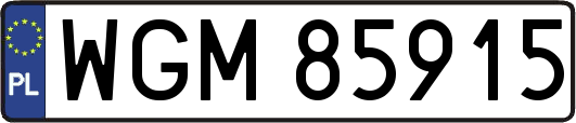 WGM85915