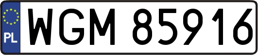 WGM85916