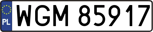 WGM85917