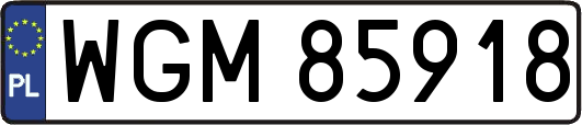 WGM85918