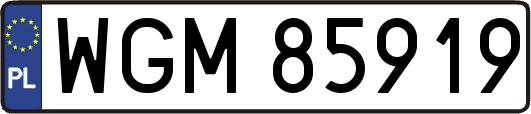 WGM85919