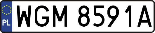 WGM8591A