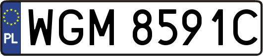 WGM8591C