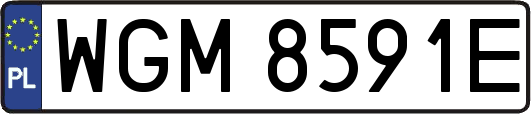 WGM8591E