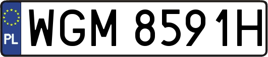 WGM8591H