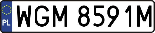 WGM8591M