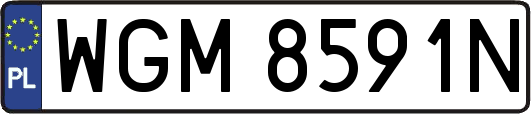 WGM8591N