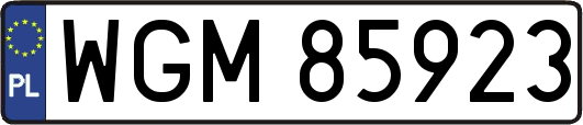 WGM85923