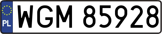 WGM85928