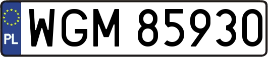 WGM85930