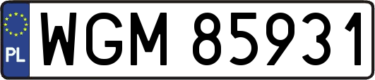 WGM85931