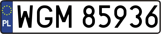 WGM85936