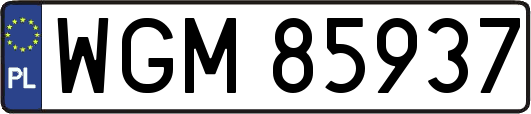 WGM85937