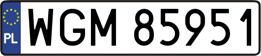 WGM85951