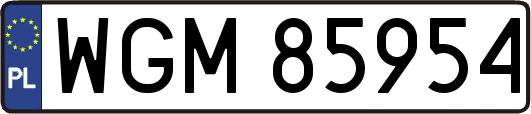 WGM85954