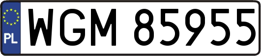 WGM85955