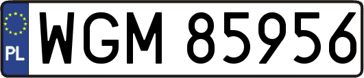 WGM85956