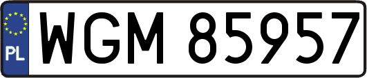 WGM85957
