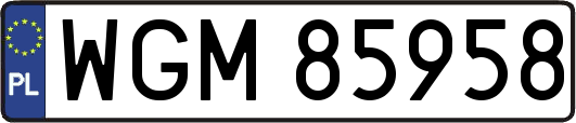 WGM85958