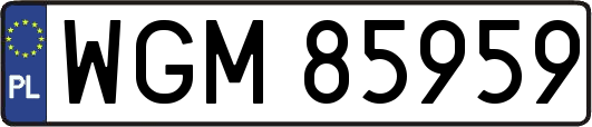 WGM85959