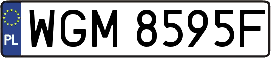 WGM8595F
