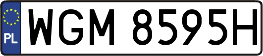 WGM8595H