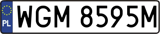 WGM8595M