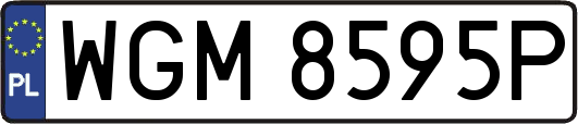 WGM8595P