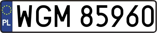 WGM85960