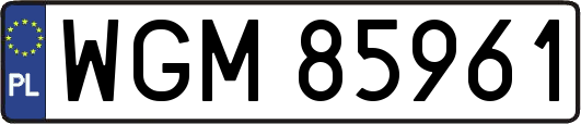WGM85961