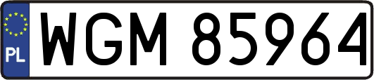 WGM85964