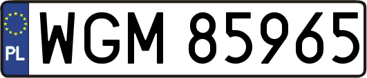 WGM85965