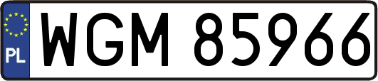WGM85966