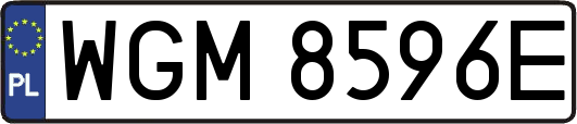 WGM8596E
