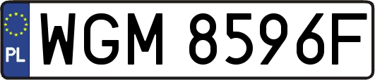 WGM8596F