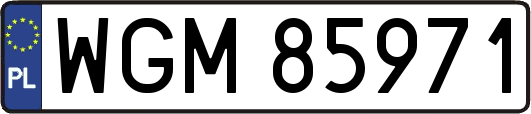 WGM85971