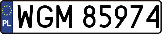 WGM85974