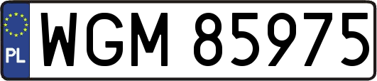 WGM85975
