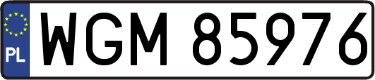 WGM85976