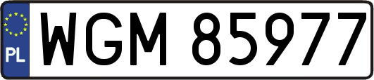WGM85977