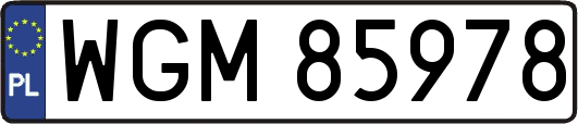 WGM85978