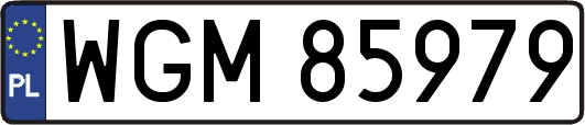 WGM85979