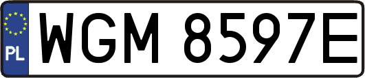 WGM8597E