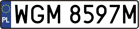 WGM8597M